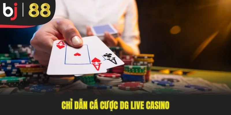 Chỉ dẫn cá cược DG Live Casino