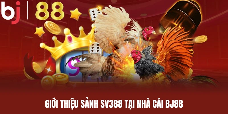 Giới thiệu sơ lược về sảnh SV388 tại nhà cái BJ88