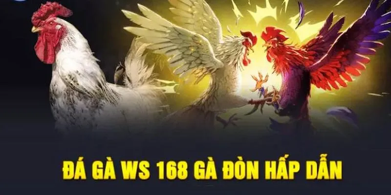 sảnh ws168 tại BJ88